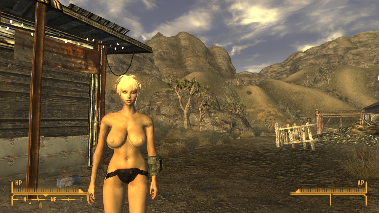 Fallout Nv Body Replacer