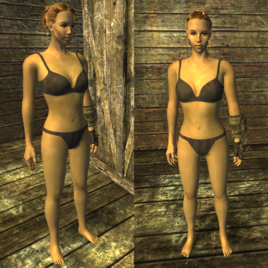 Fnv type 3 body replacer
